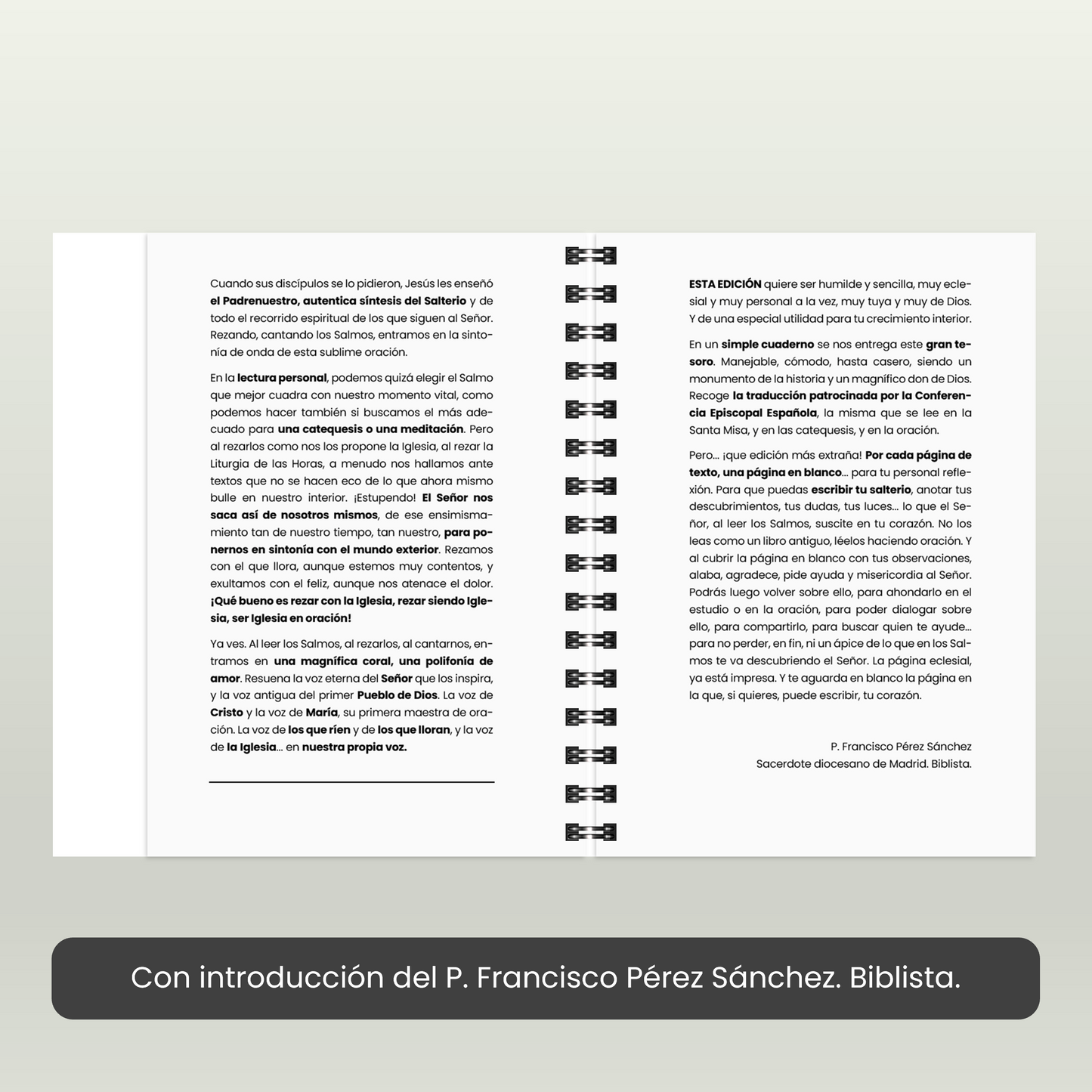Salmos - Cuadernillo bíblico - AT23