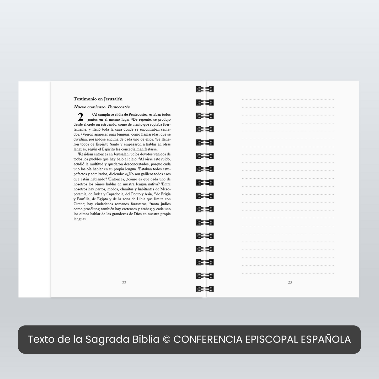 Hechos de los Apóstoles - Cuadernillo bíblico - NT5